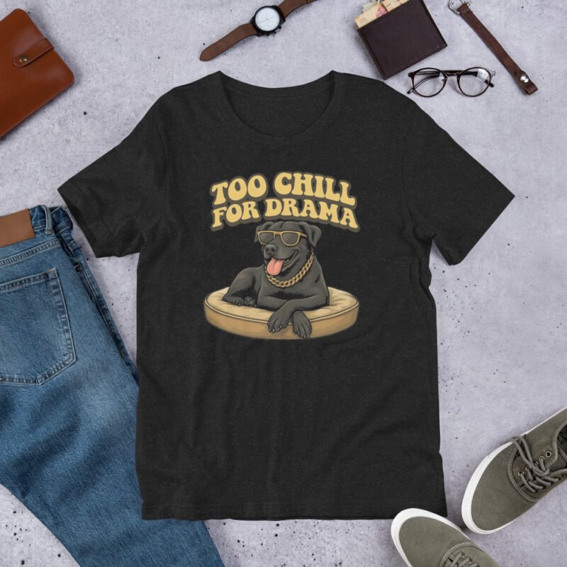 Too Chill for Drama Unisex t-shirt